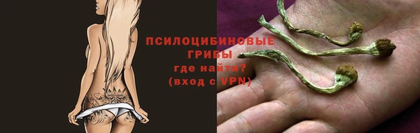 apvp Наволоки