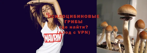 крисы Чекалин