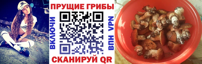 Галлюциногенные грибы MAGIC MUSHROOMS  купить   Змеиногорск 